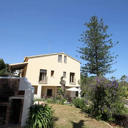L'araucaria *